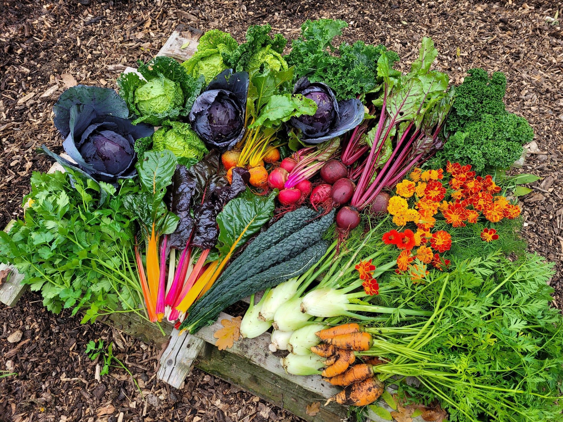 Irongate Market Garden